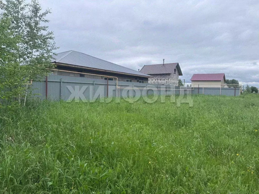 Участок в Новосибирская область, Новосибирский район, Криводановский ... - Фото 2