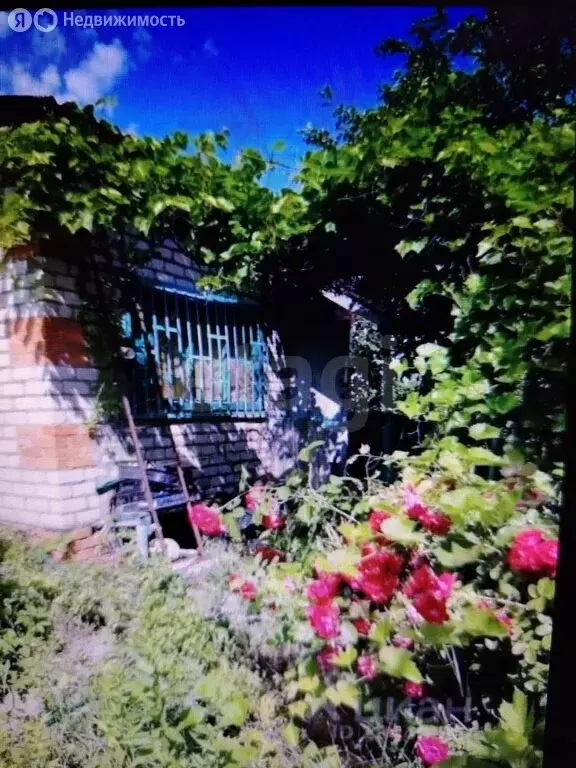 Дом в Энгельсский район, Красноярское муниципальное образование, СНТ ... - Фото 2