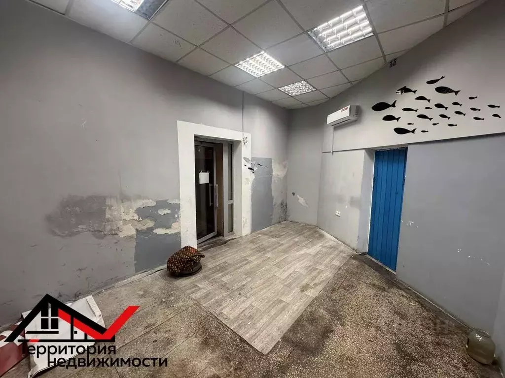 Помещение свободного назначения в Севастополь ул. Адмирала ... - Фото 2