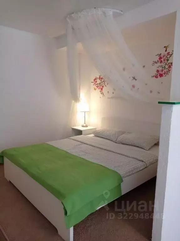 1-к кв. Псковская область, Псков Народная ул., 15 (20.0 м) - Фото 1