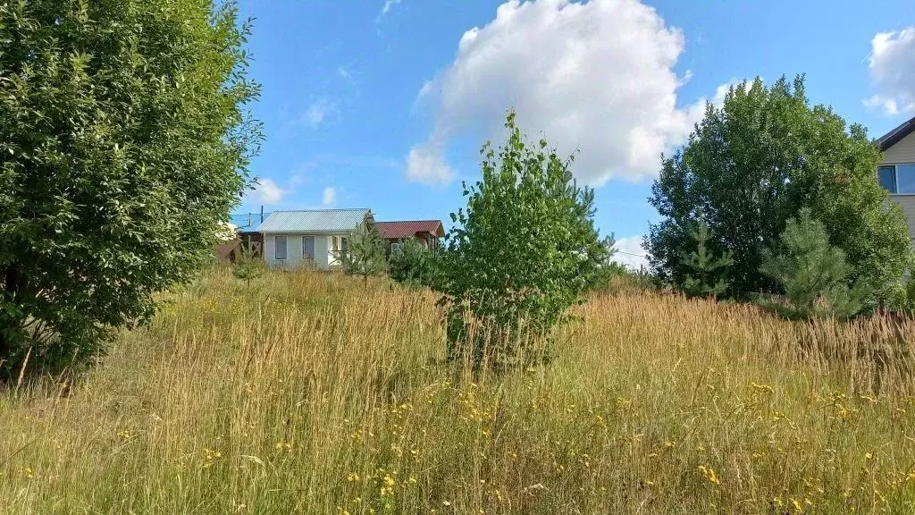 Участок в Нижегородская область, Богородский муниципальный округ, ... - Фото 1