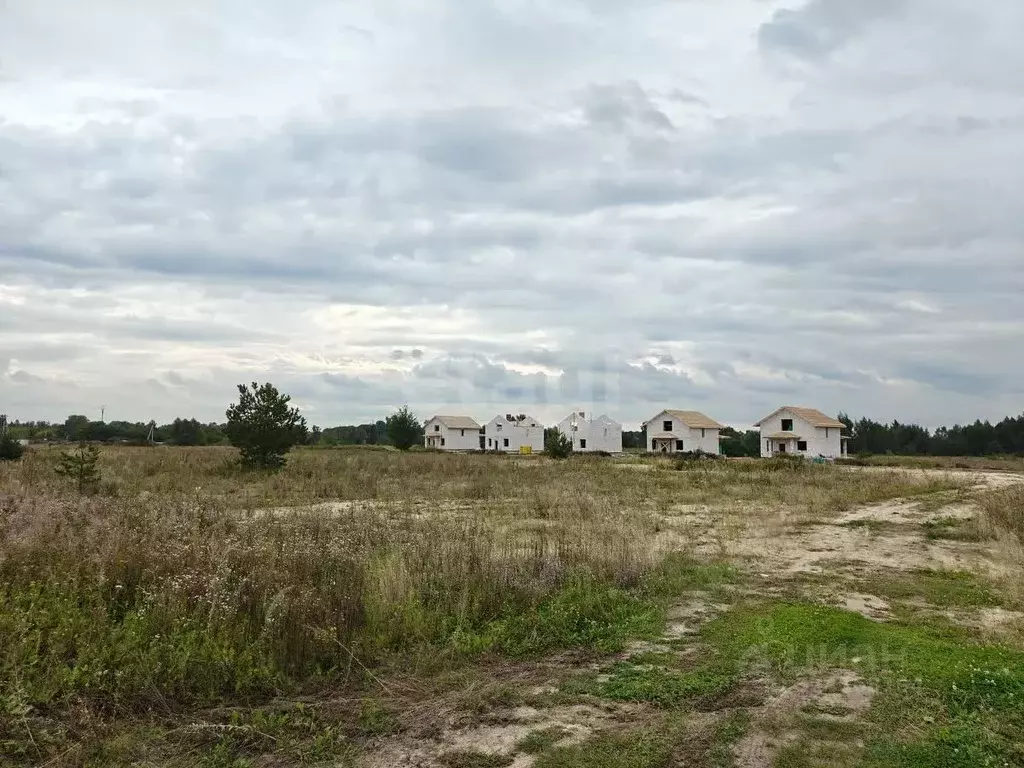 Участок в Владимирская область, Муром с. Панфилово,  (8.33 сот.) - Фото 2