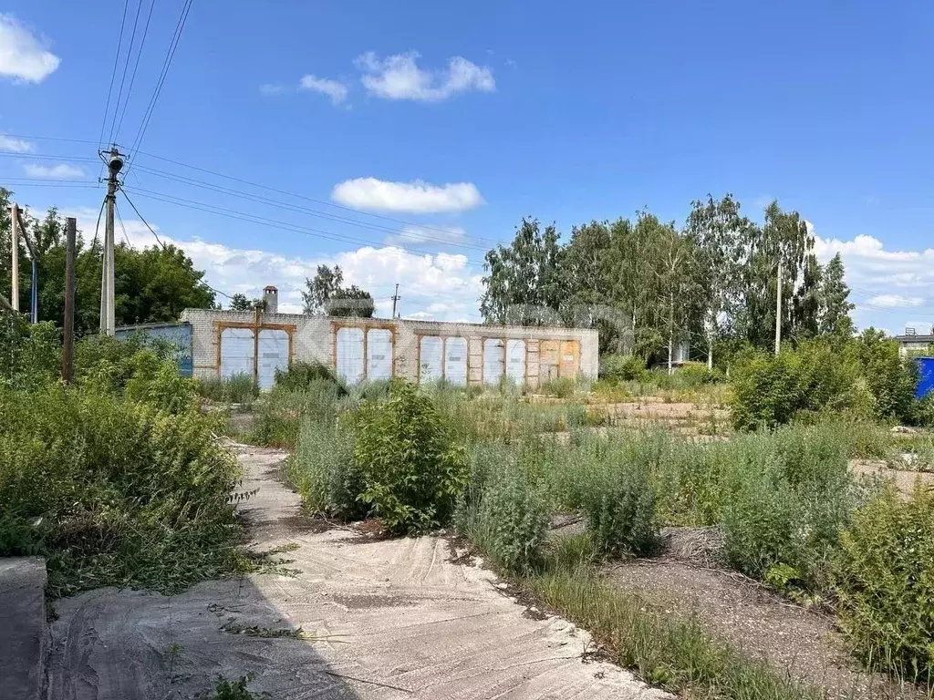 Производственное помещение в Татарстан, Кайбицкий район, пос. ... - Фото 1