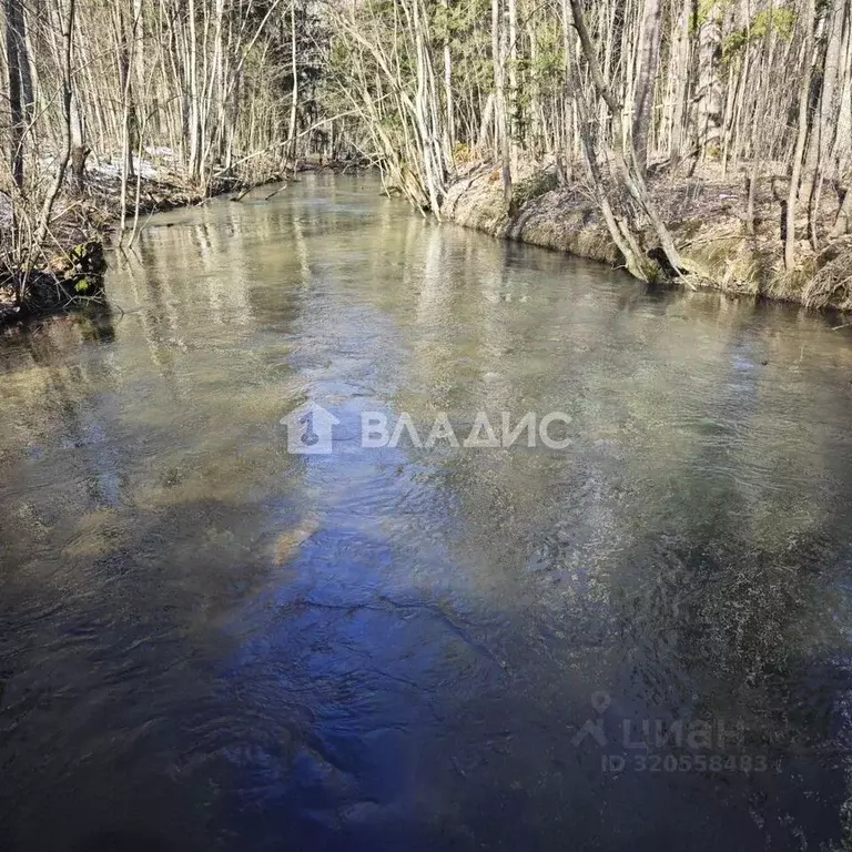 Участок в Ленинградская область, Ломоносовский район, Ропшинское ... - Фото 2