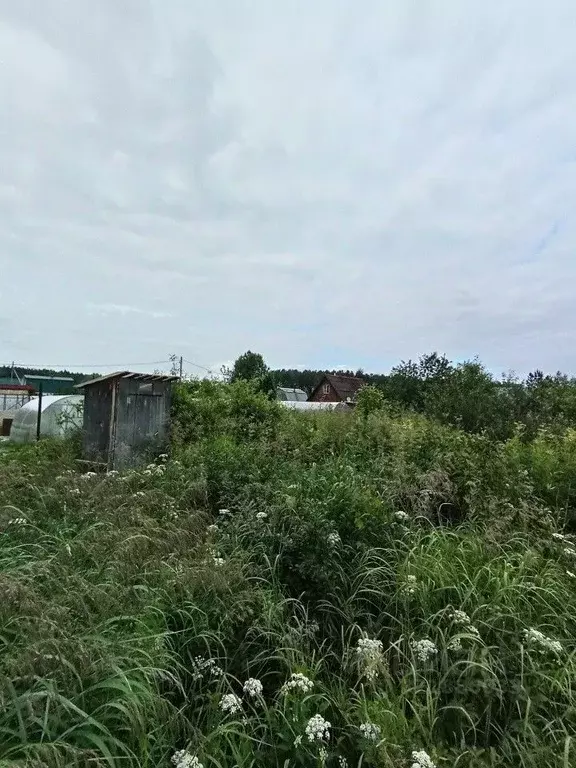 Участок в Свердловская область, Екатеринбург Приисковый-9 СНТ, 127 ... - Фото 2