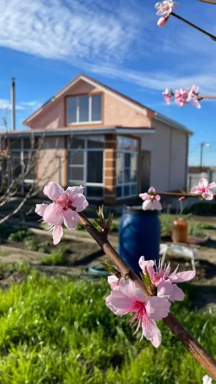 Дом в Краснодарский край, Анапа муниципальный округ, Нижняя Гостагайка ... - Фото 1