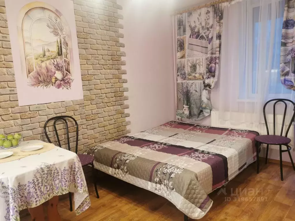 Студия Санкт-Петербург Туристская ул., 24/42 (27.3 м) - Фото 0