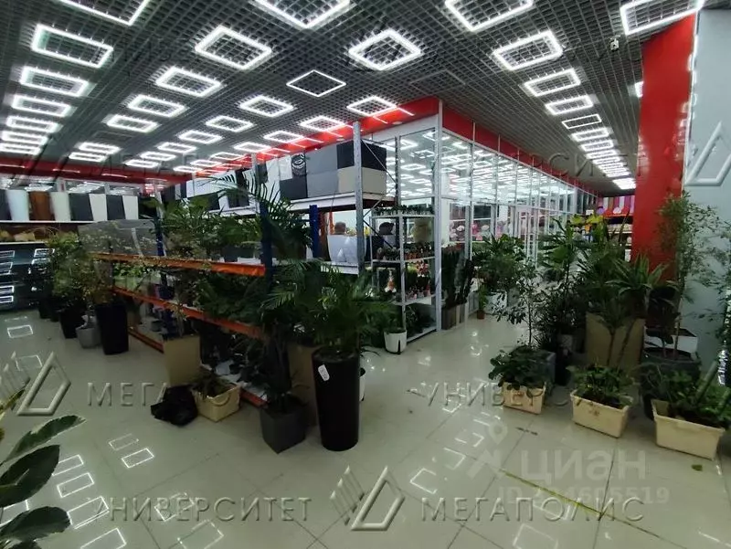 Помещение свободного назначения в Москва Варшавское ш., вл132/1 (50 м) - Фото 2