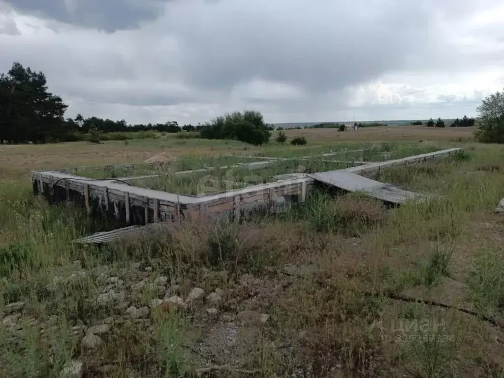 Участок в Ростовская область, Белокалитвинский район, Нижнепоповское ... - Фото 1