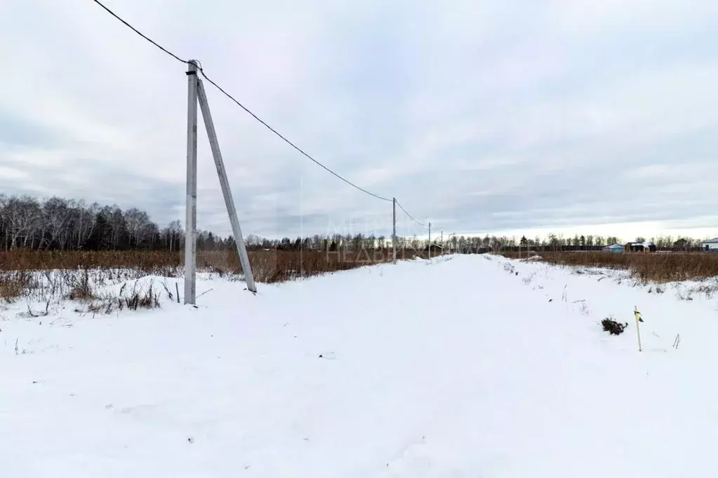 Участок в Тюменская область, Тюменский район, с. Каменка  (10.17 сот.) - Фото 1