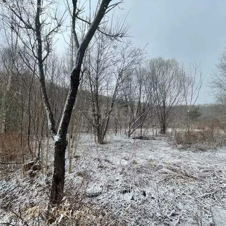 Участок в Приморский край, Яковлевский муниципальный округ, улица ... - Фото 2