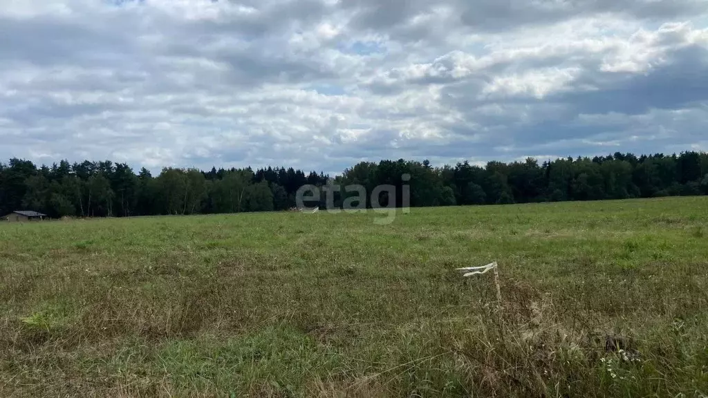 Участок в Московская область, Домодедово городской округ, д. Максимиха ... - Фото 0