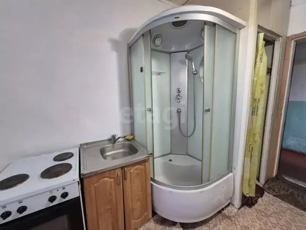 Студия Алтай, Майминский район, с. Майма ул. Энергетиков (16.0 м) - Фото 2