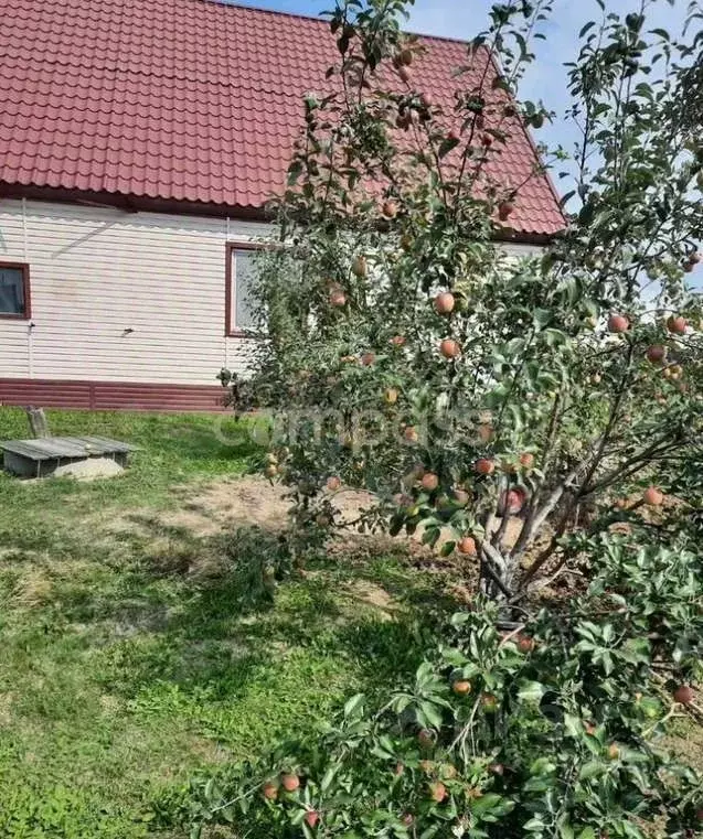 Дом в Тюменская область, Тюменский район, с. Каскара ул. Ленина (150 ... - Фото 0