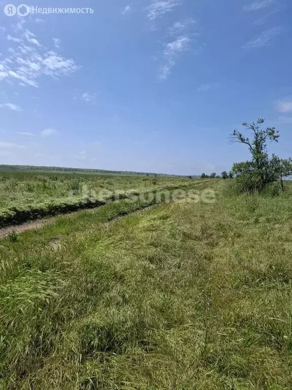 Участок в Береговое, Новосёловская улица (7.5 м) - Фото 1