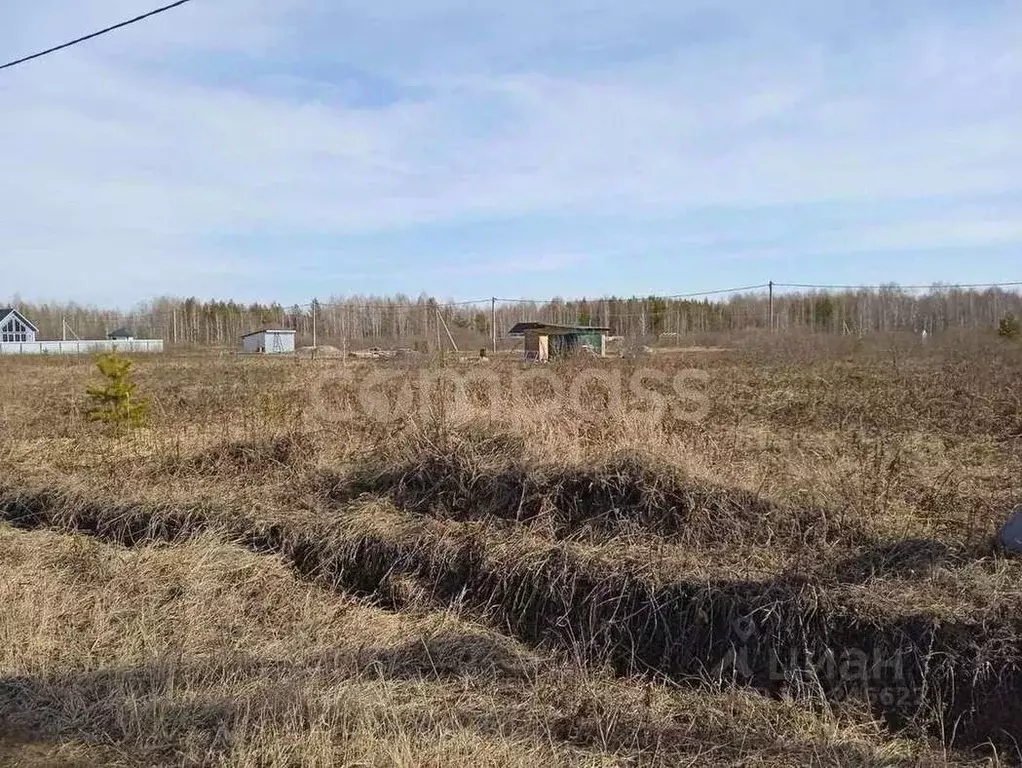 Участок в Тюменская область, Тюменский район, Новокаменский кп ул. ... - Фото 0