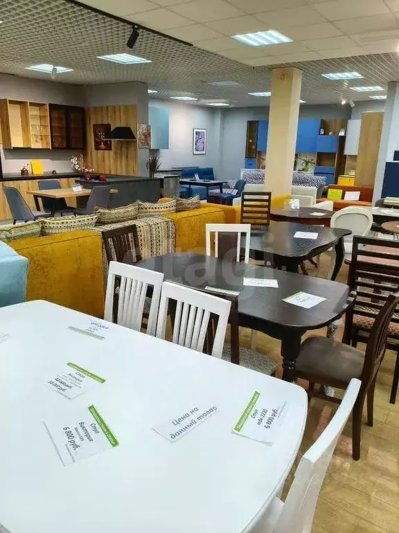 Торговая площадь в Калужская область, Калуга ул. Суворова, 121 (500 м) - Фото 1