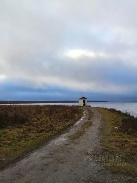 Дом в Ленинградская область, Ивангород Кингисеппский район, ул. ... - Фото 1