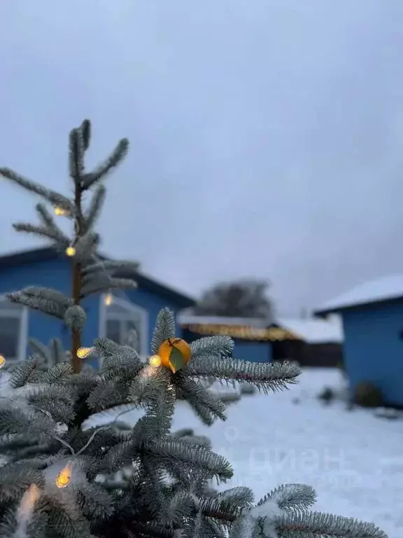 Дом в Псковская область, Пушкинские Горы рп ул. Дачная, 12 (30 м) - Фото 1