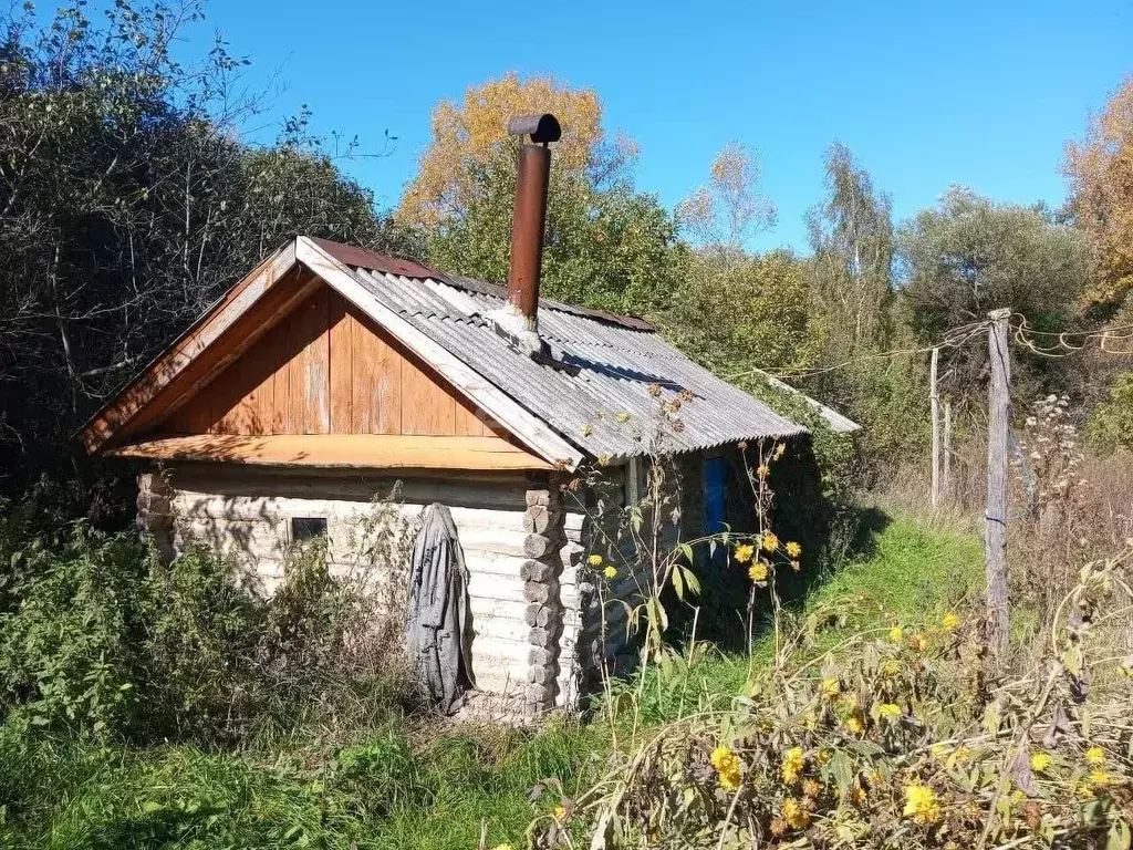 Дом в Мордовия, Большеберезниковский район, с. Гарт Советская ул. (30 ... - Фото 0