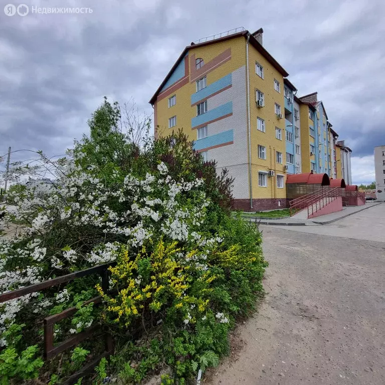 1-комнатная квартира: Бор, посёлок Октябрьский, улица Победы, 24к2 (43 ... - Фото 2