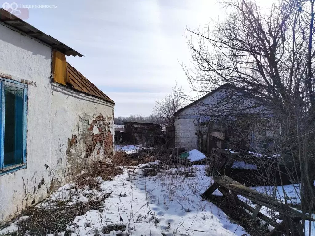 Дом в Новоусманский район, Тимирязевское сельское поселение, село ... - Фото 0