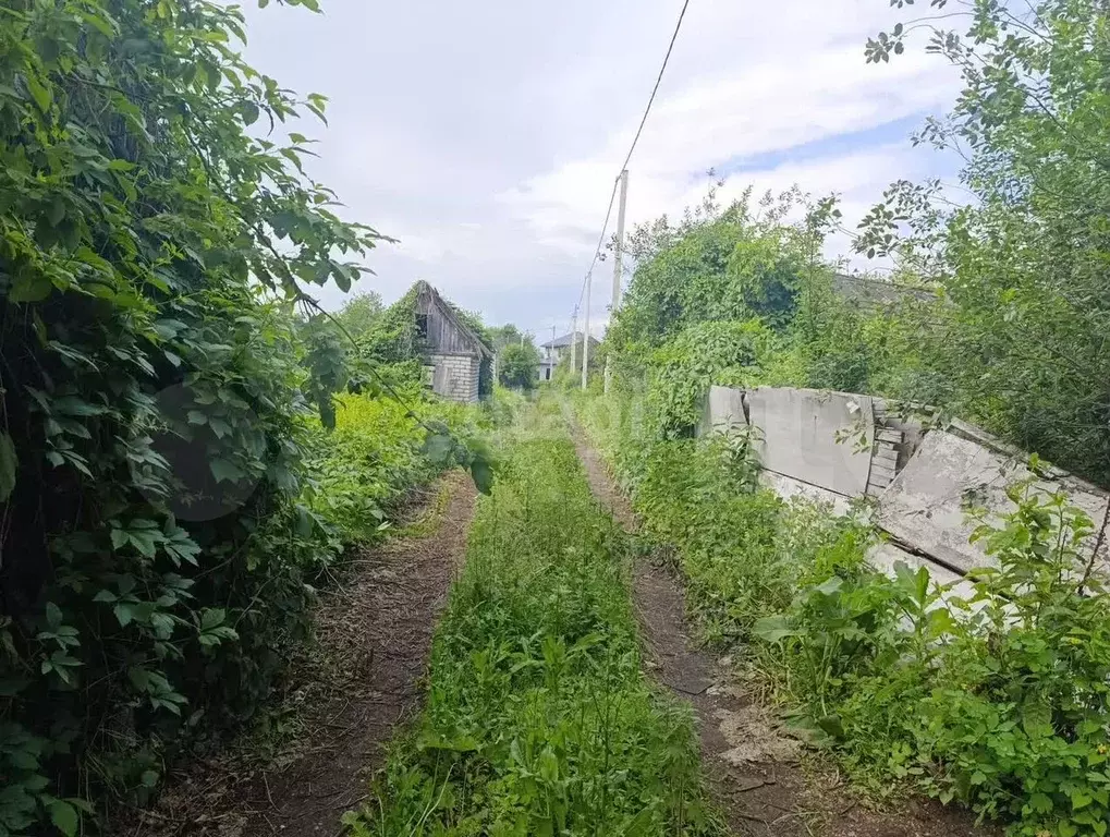 Участок 3,6 сот. (СНТ, ДНП) - Фото 1
