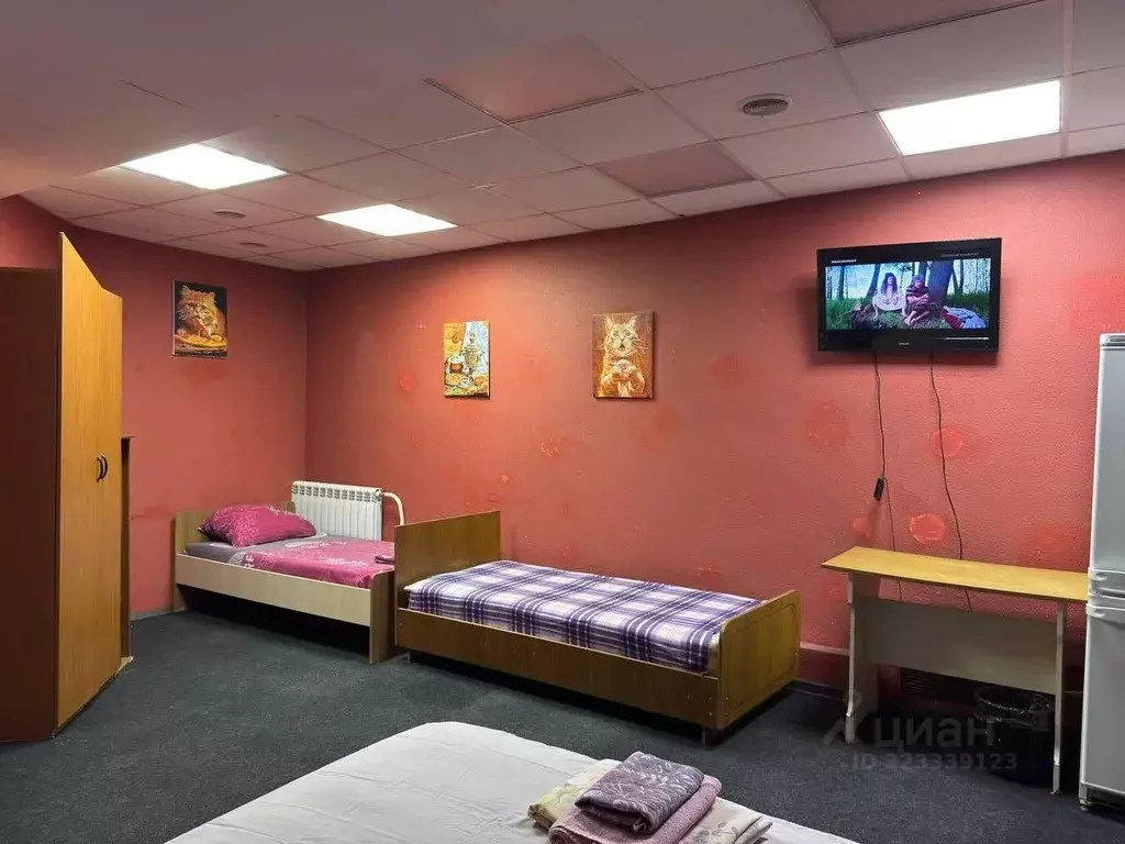 Комната Челябинская область, Челябинск просп. Ленина, 49В (40.0 м) - Фото 2