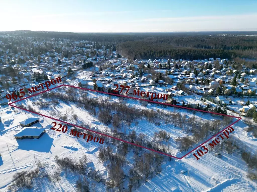 Участок в Ленинградская область, Всеволожский район, Лесколовское ... - Фото 2