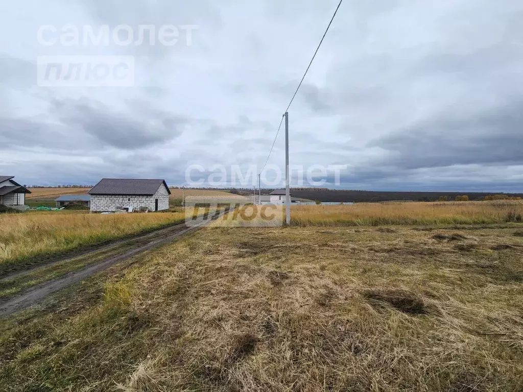 Участок в Курская область, Курский район, Новопоселеновский сельсовет, ... - Фото 0