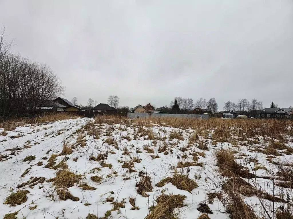 Участок в Московская область, Орехово-Зуевский городской округ, д. ... - Фото 1