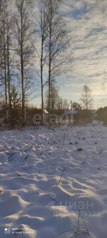 Участок в Ленинградская область, Кировский район, Мгинское городское ... - Фото 1