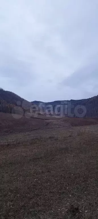 Участок 88 сот. (СНТ, ДНП) - Фото 1