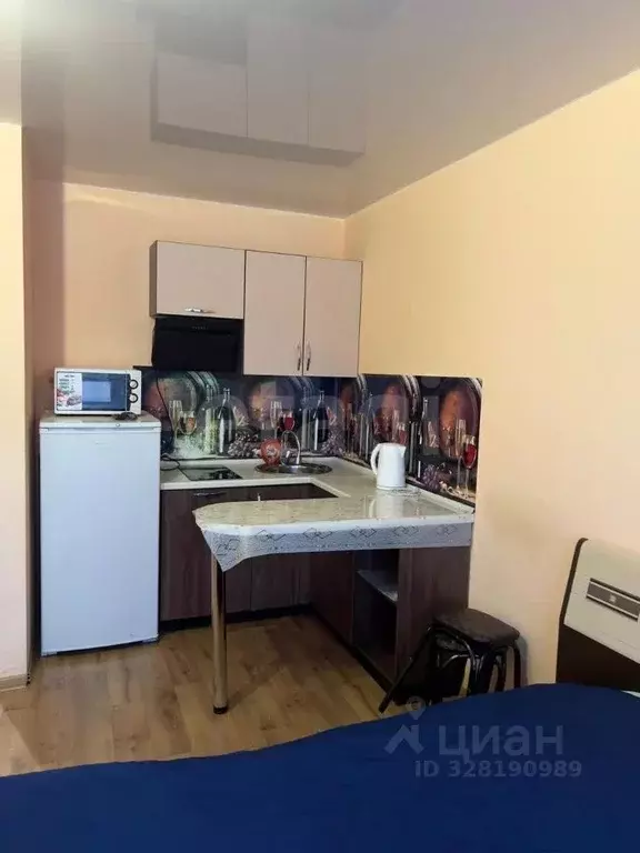 Студия Амурская область, Благовещенск Октябрьская ул., 221 (28.0 м) - Фото 1