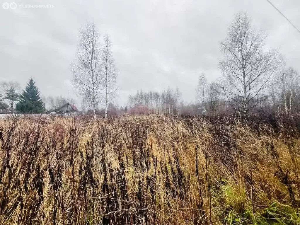Участок в Костромской район, Бакшеевское сельское поселение, СТ ... - Фото 2