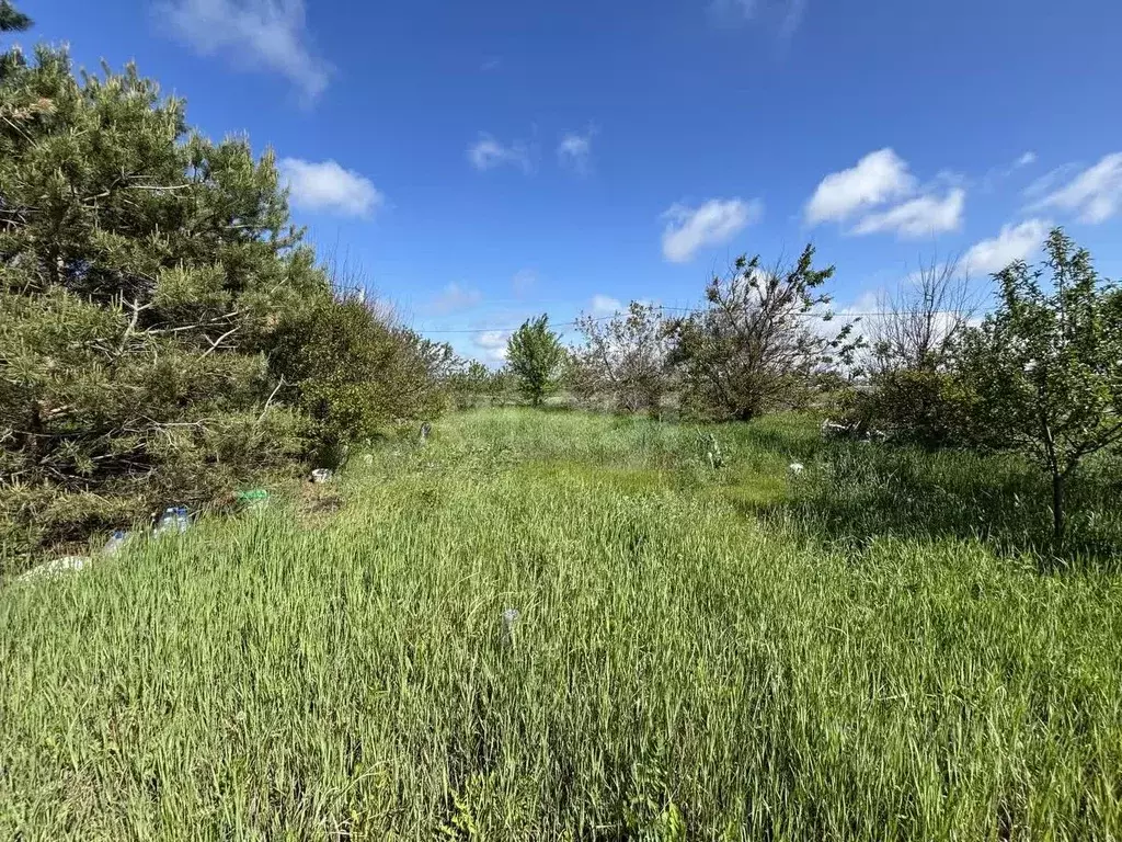 Участок в Белгородская область, Белгородский район, Комсомольское ... - Фото 1