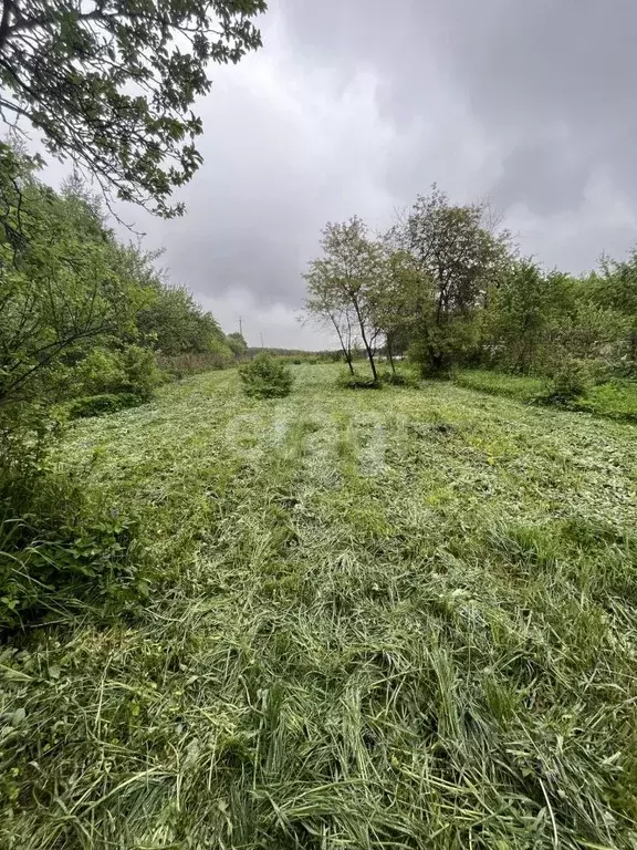 Участок в Калужская область, Дзержинский район, Дворцы с/пос, д. ... - Фото 1