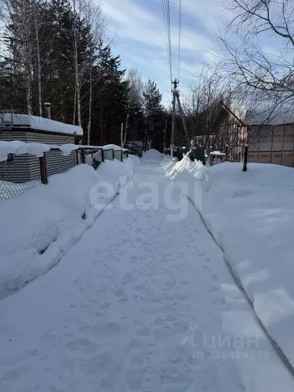 Участок в Новосибирская область, Искитимский район, Морозовский ... - Фото 1