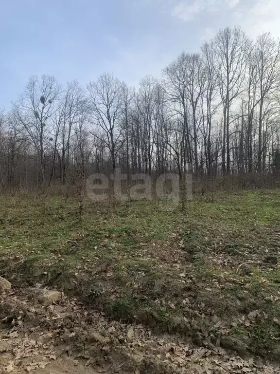Участок в Адыгея, Майкопский район, Абадзехская ст-ца ул. Винника ... - Фото 1