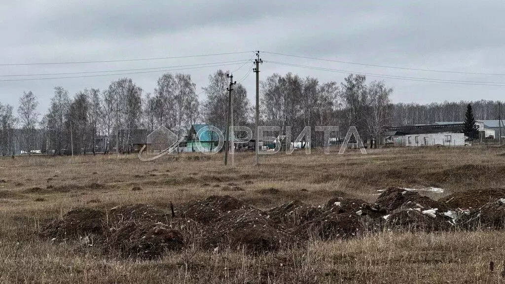 Участок в Свердловская область, Тугулымский городской округ, с. ... - Фото 1