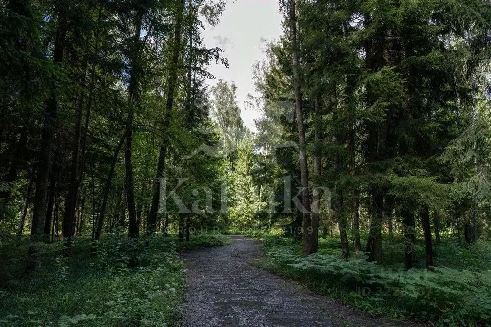 Участок в Московская область, Одинцовский городской округ, пос. дома ... - Фото 1