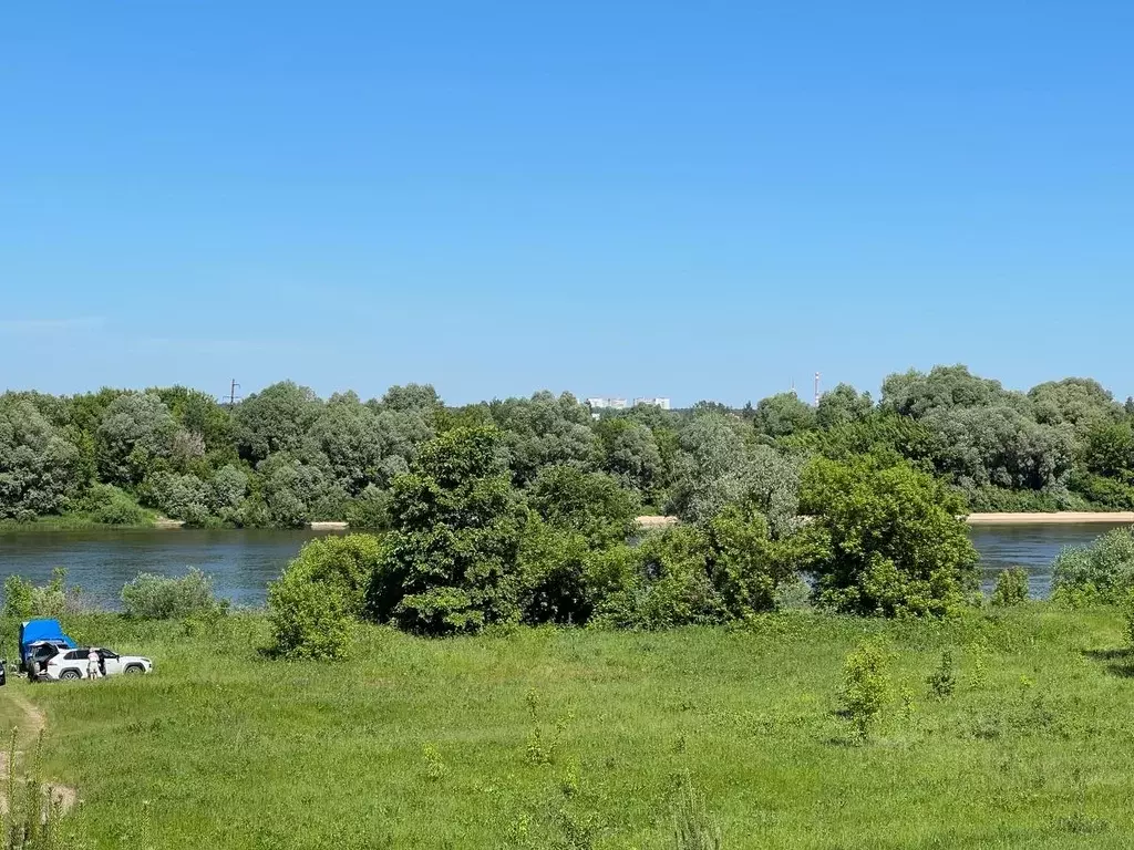 Участок в Московская область, Серпухов городской округ, д. Ланьшино  ... - Фото 1