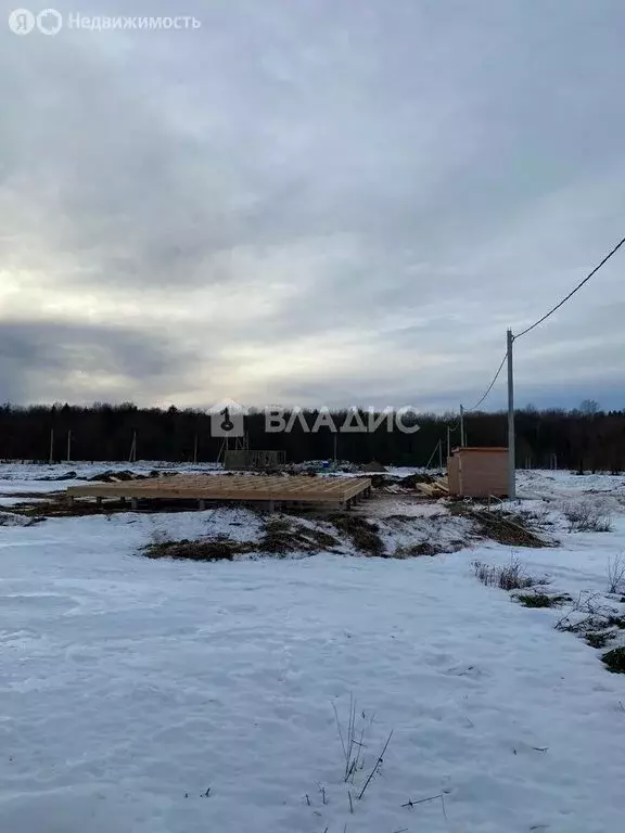 Участок в Ломоносовский район, Русско-Высоцкое сельское поселение, ... - Фото 0