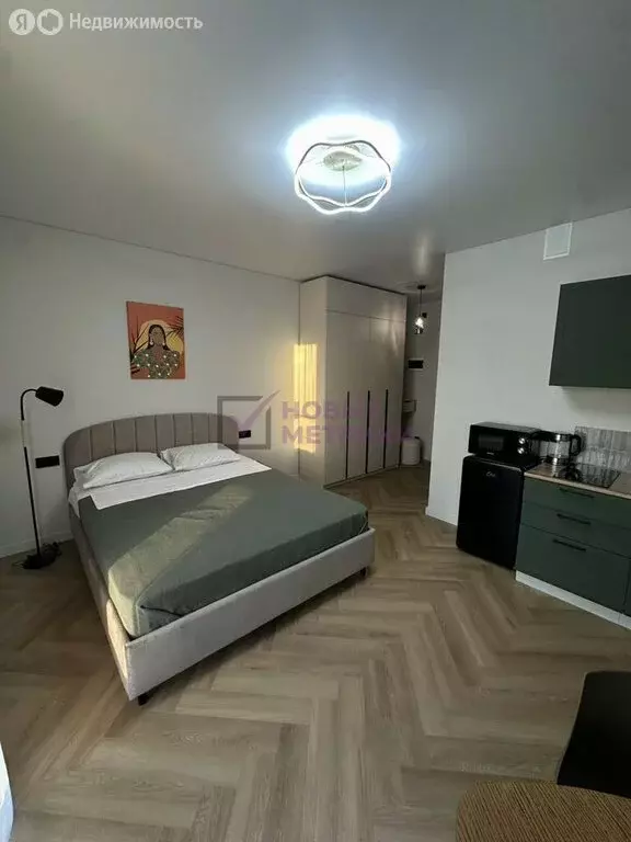 Квартира-студия: Санкт-Петербург, проспект Энгельса, 29 (24.5 м) - Фото 1