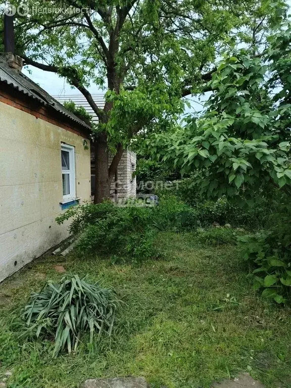 Дом в Майкоп, ДНТ Дружба, Набережная улица (16.9 м) - Фото 1