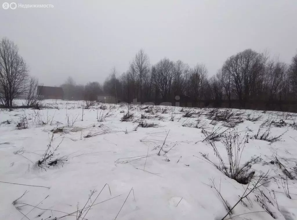 Участок в Череповецкий район, муниципальное образование Югское, ... - Фото 0