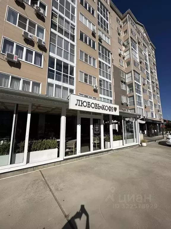 1-к кв. Адыгея, Майкоп Пионерская ул., 530 (55.0 м) - Фото 2