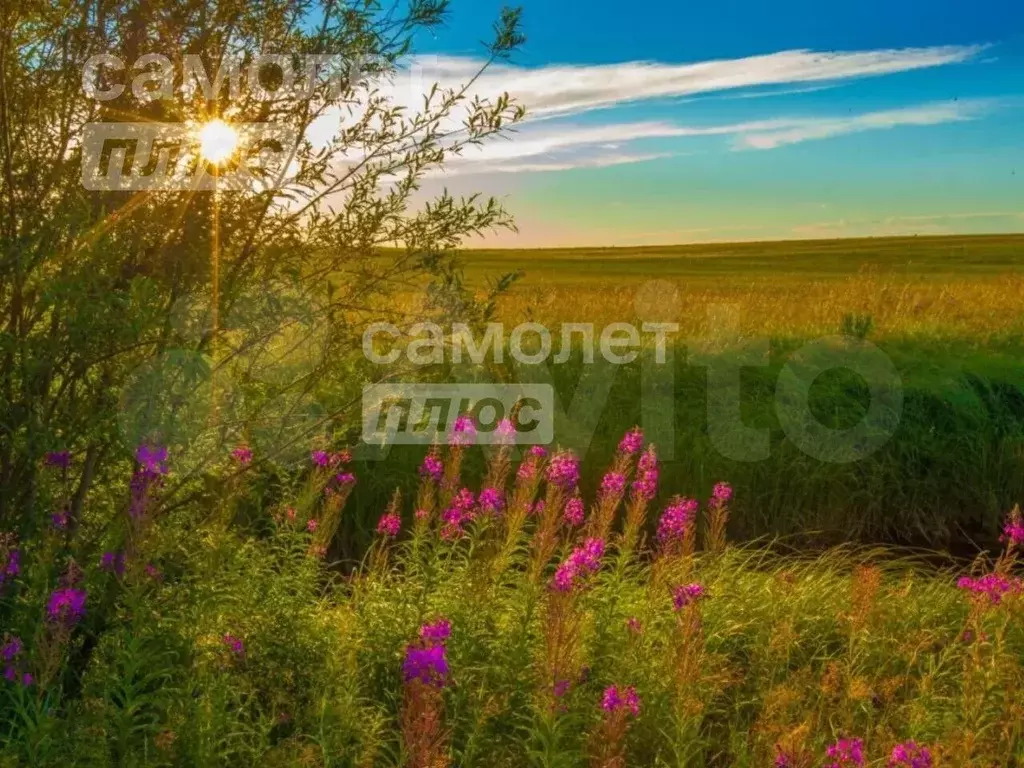 Участок 9,1 сот. (ИЖС) - Фото 1