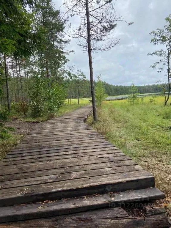 Участок в Ленинградская область, Выборгский район, Первомайское с/пос, ... - Фото 2