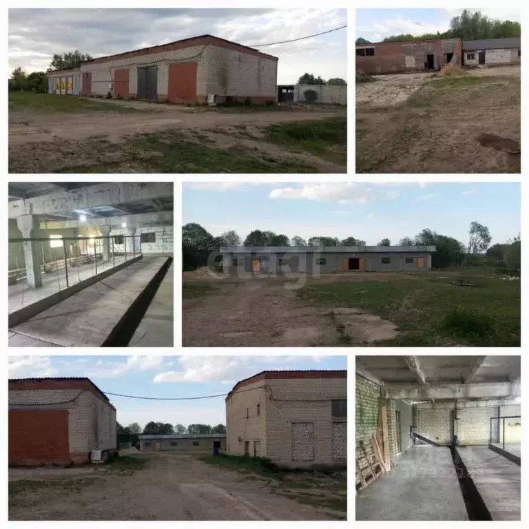 Склад в Калужская область, пос. Бабынино ул. Кооперативная (1000 м) - Фото 2